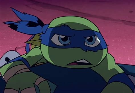 From Tmnt Half Shell Heroes