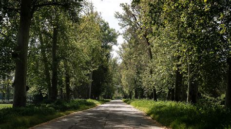 Los Jardines De Aranjuez Se Reabren Este Lunes