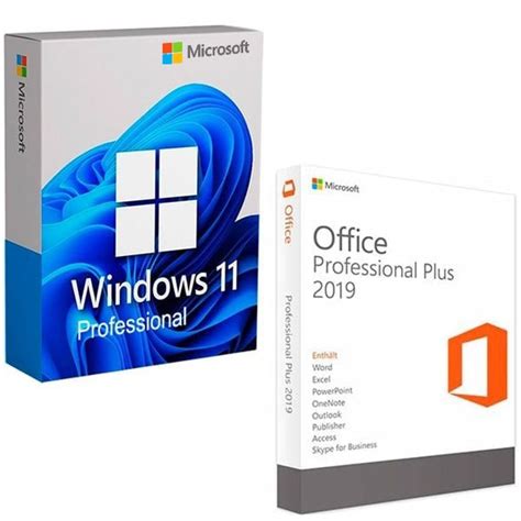 Microsoft Windows 11 Pro Microsoft Office 2019 Professional Plus USA