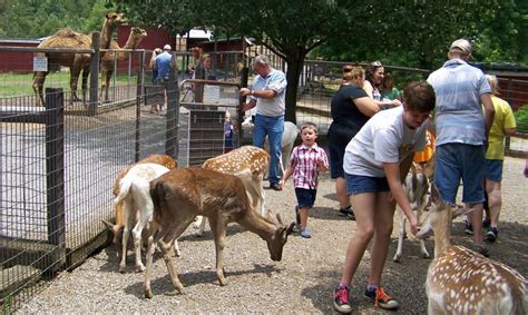 Smoky Mountain Deer Farm and Exotic Petting Zoo