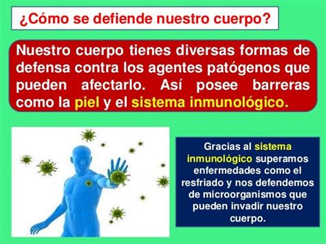 Defensa Del Cuerpo