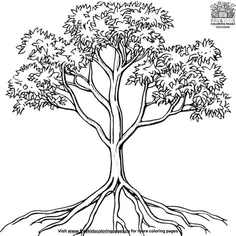 Tropical Mangrove Tree Coloring Pages