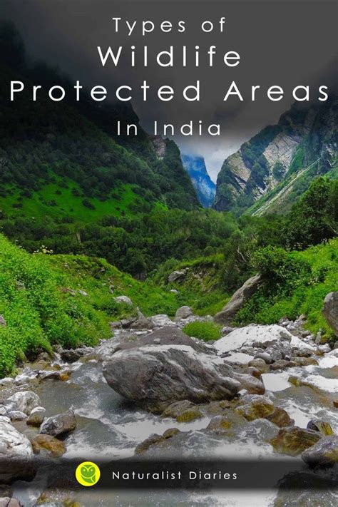 Types Of Protected Areas In India Wildlife Tiger Conservation