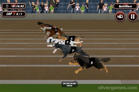 Dog Racing - Play Online on SilverGames 🕹️