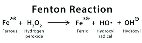 Scheme 1 The Fenton Reaction Describes The Formation Of Hydroxide OH