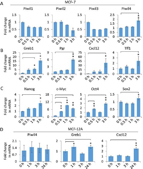 Figure 1 From The Role Of 17β Estradiol Induced Upregulation Of Piwi Like 4 In Modulating Gene