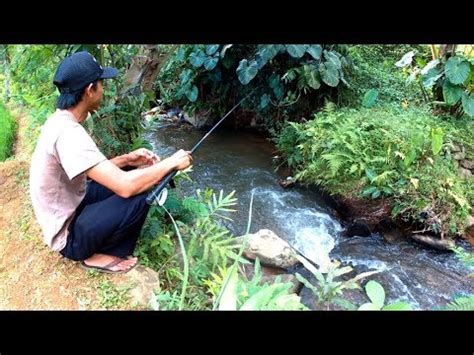 Mancing Di Sungai Kecil YouTube