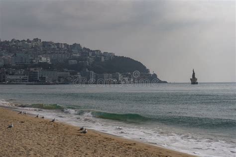 Haeundae Beach a Famous Beach in Busan during Winter Morning at Haeundae-gu , Busan South Korea ...