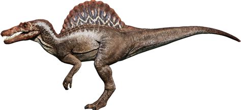What If The Spinosaurus From Jurassic Park Iii Was Relocated From Isla