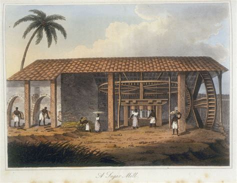 History Of The Sugar Mills Of Pernambuco Beginning And End