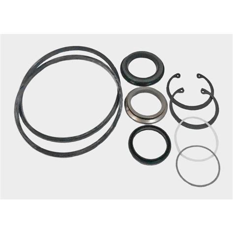 Lps Hydraulic Drive Motor Seal Kit To Replace Bobcat® Oem 6513423