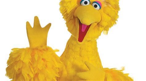 Big Bird Sesame Street Big Bird Bird Wallpaper