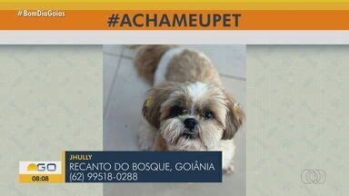 Bom Dia Go Acha Meu Pet Tutores Pedem Ajuda Para Encontrar Animais