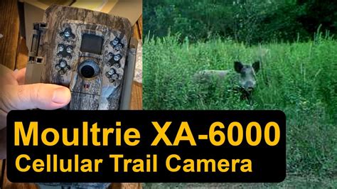 Moultrie Mobile Setup And XA 6000 Cellular Trail Camera Review YouTube