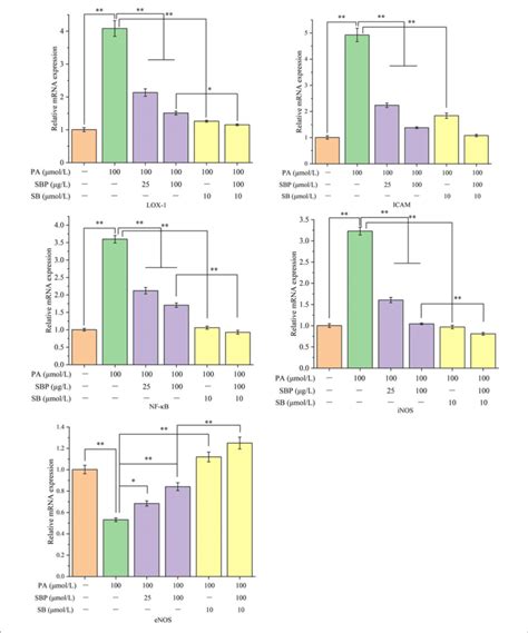 Relative mRNA expression LOX 1 ICAM NF κB iNOS and eNOS under