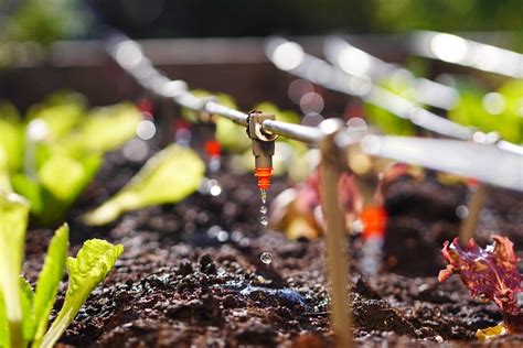 Sprinkler System Setup The Basics Greeniq Co