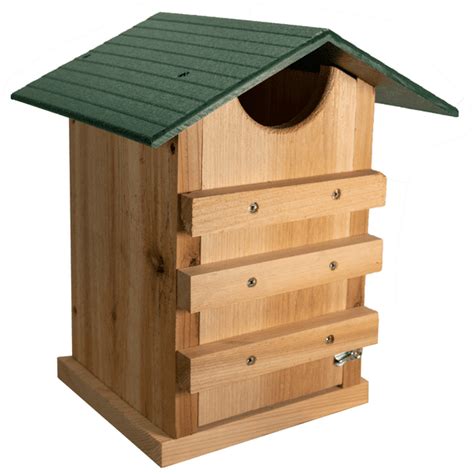 JCs Wildlife Screech Owl or Saw-Whet Owl House Cedar Nesting Box with ...