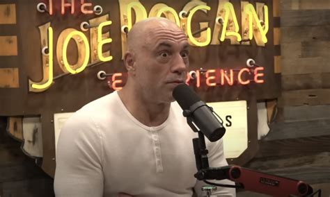 Joe Rogan Makes Decision On Having Donald Trump As A Guest The Spun