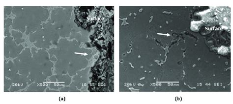 Corrosion In Az91 Alloy Showing A Fully Eutectic β Phase Interrupting