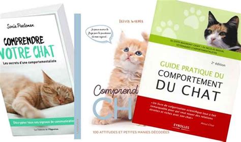 Les Meilleurs Livres De Comportementaliste Pour Chats