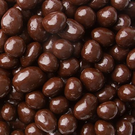 Sugar Free Dark Chocolate Covered Raisins • Raisins • Bulk Dried Fruits