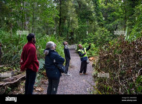 Maori New Zealand Tour Guide Hi Res Stock Photography And Images Alamy