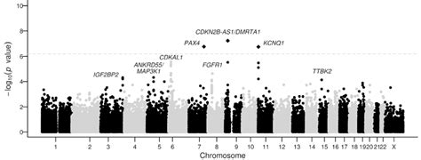 Figure 1 From University Of Birmingham Exome Chip Association Analysis