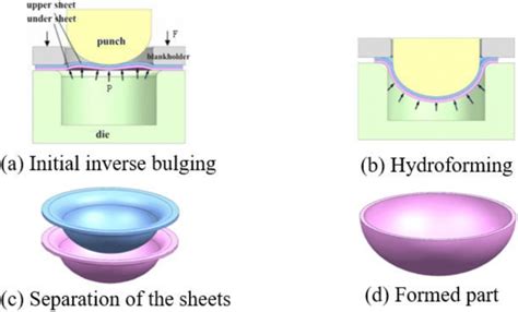 Schematic diagram of the new hydroforming process | Download Scientific ...