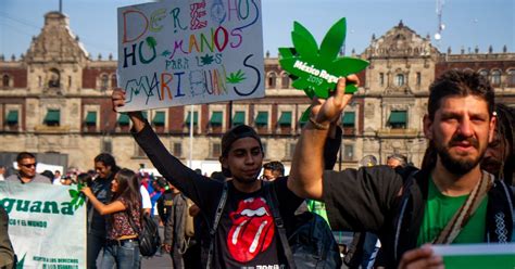 Legalizar Las Drogas Para Frenar La Violencia En México