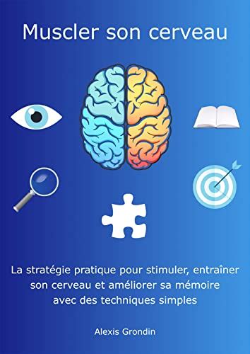 Muscler Son Cerveau La Strat Gie Pratique Pour Stimuler Entra Ner