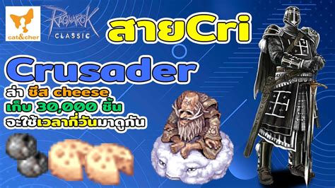 ragnarok classic Crusader สาย Cri ลา ตาลงขเมฆ ชส cheese สตรม