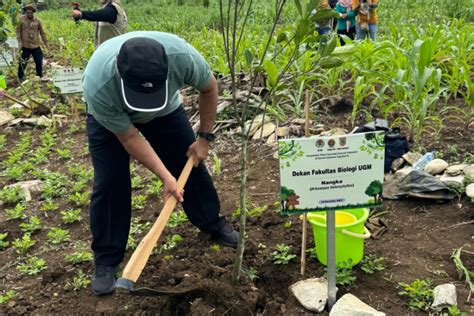 Fakultas Biologi UGM Berpartispasi Dalam Kegiatan Penanaman Pohon