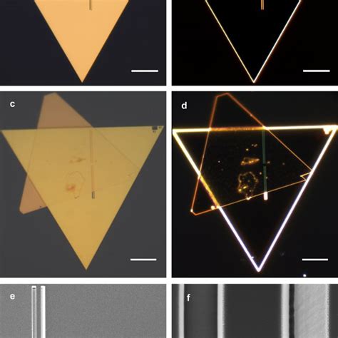 Micrographs Of The Fabricated Sample A Bright And B Dark Field