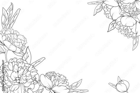 Peony rose garden flowers black and white detailed outline drawing ...