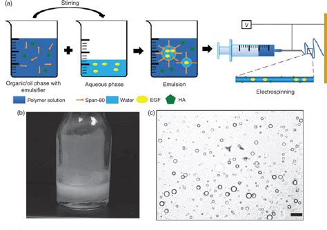 Figure 1 From Evaluation Of Emulsion Electrospun Polycaprolactone