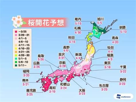 樱花何时开？2019年日本新鲜“樱前线”开花时间表凤凰网