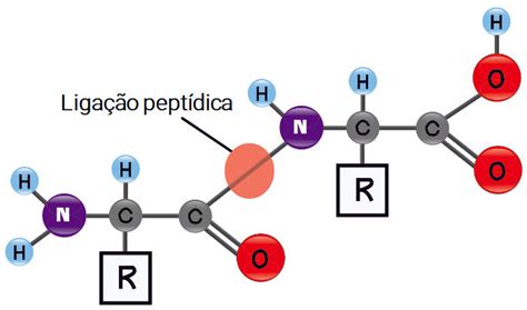 Proteínas Manual da Química