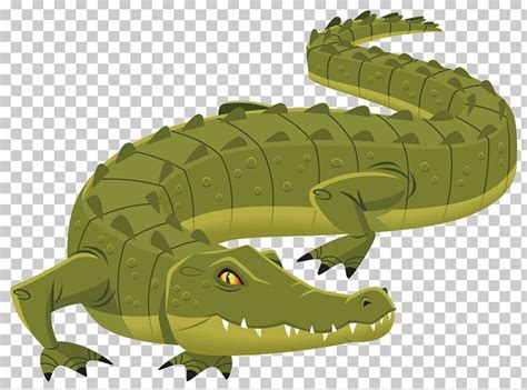 Nile Crocodile Clipart 10 Free Cliparts Download Images On Clipground