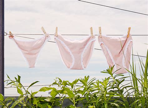 Spotlight On Wacoal B Tempt D Archives Lingerie Briefs By Ellen Lewis