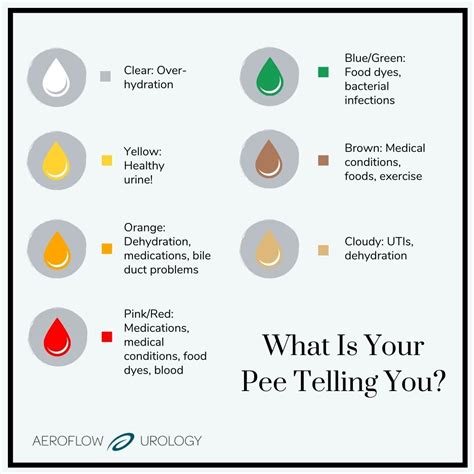 Urine Chart Color Of Urine Pee Color Urinal - vrogue.co
