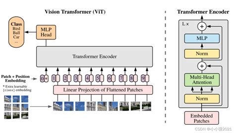 论文阅读MIL VT Multiple Instance LearningEnhanced Vision Transformer for