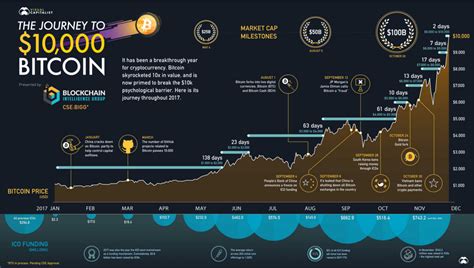 Bitcoin Infographic Video