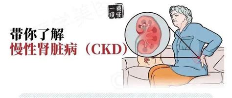 简单三步丨带你了解慢性肾脏病（ckd）治疗进展患者