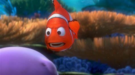 Finding Nemo - Finding Nemo Image (3562286) - Fanpop