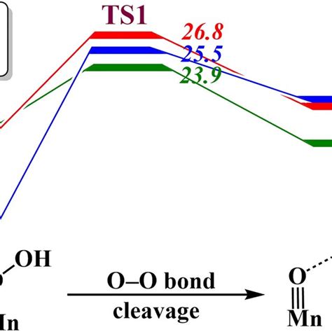 Gibbs Free Energy Profile In Kcal Mol For The O O Bond Cleavage Of Download Scientific