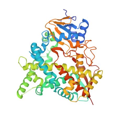 RCSB PDB 4C28 Crystal Structure Of Trypanosoma Cruzi CYP51 Bound To