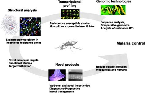 An Overview Of Insecticide Resistance Science