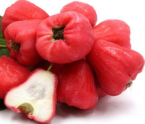 The Most Surprising Health Benefits Of Rose Apple Health Cautions