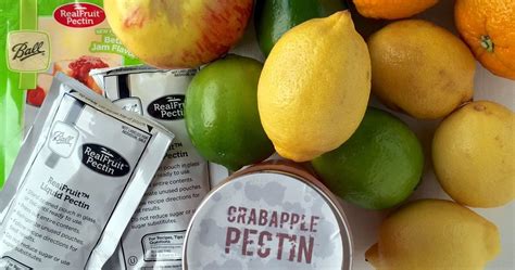 How to make Homemade Pectin for Preserves