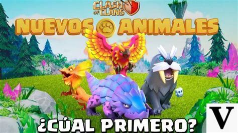 Animaux Dans Clash Of Clans Comment Obtenir Des Animaux Les